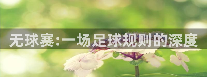 皇冠·体育(中国)官方网站：无球赛:一场足球规则的深度